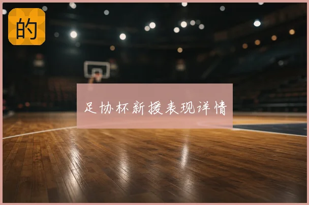 足协杯新援表现详情