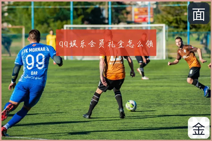 qq娱乐会员礼金怎么领